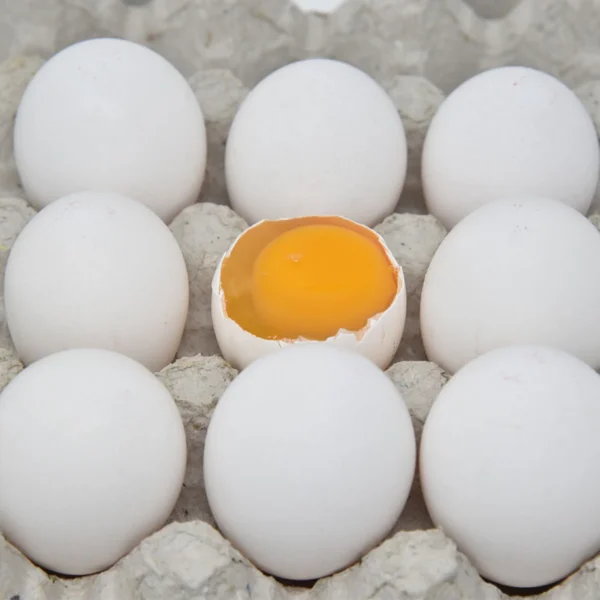 Chicken Egg ( 6pcs Box)
